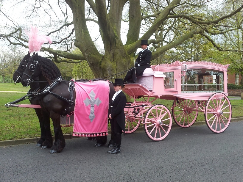 Pink Hearse.jpg